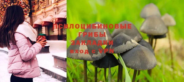 трава Абинск
